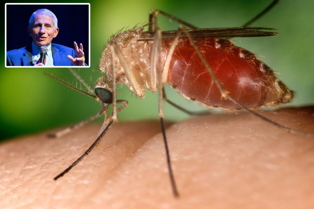 What is West Nile virus? What you need to know as it spreads across the US