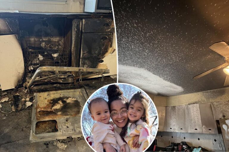 The scary reason why you should never run your dishwasher at night: 'We're devastated'

