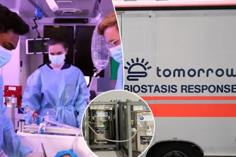 The company will freeze your dead body until it can be 'resurrected' years later - for a hefty price


